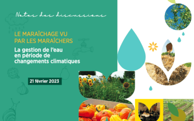 Tuinieren gezien door tuinders: waterbeheer in een veranderend klimaat (21/02/23)