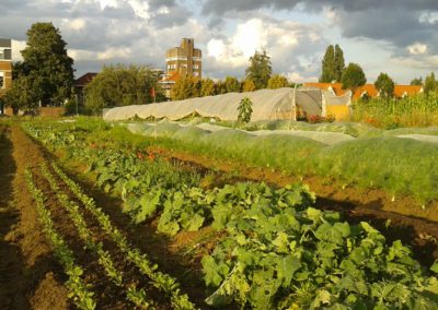 De Coopérative du chant des Cailles