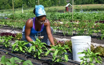 Aidez vos Agriculteurices à prendre congé