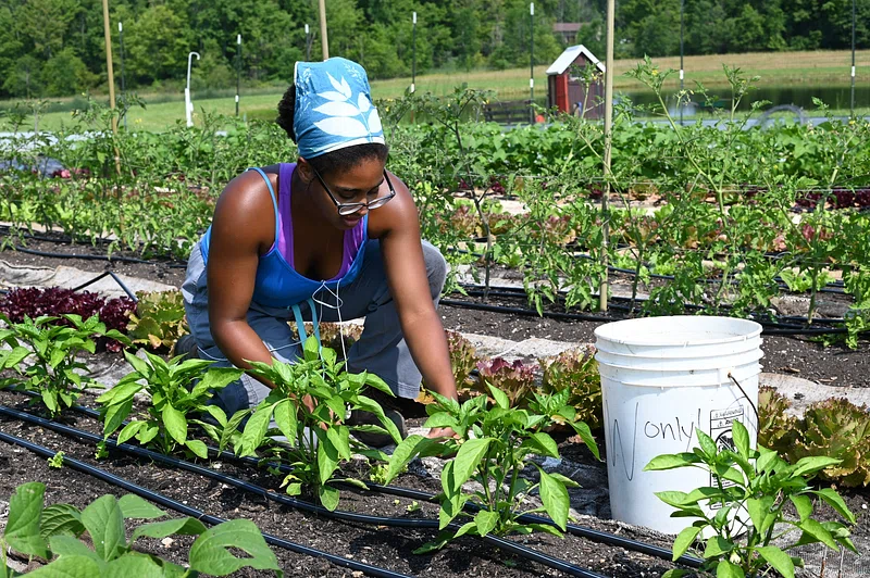 Aidez vos Agriculteurices à prendre congé