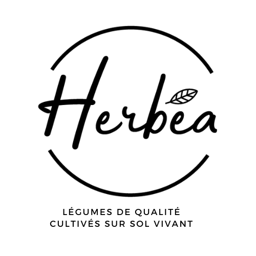 Herbea